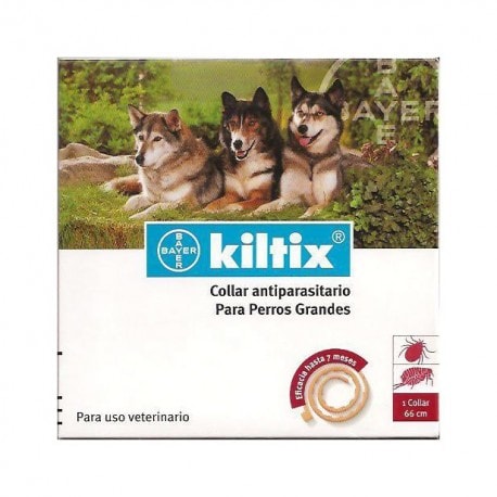 Kiltix collar large 2025