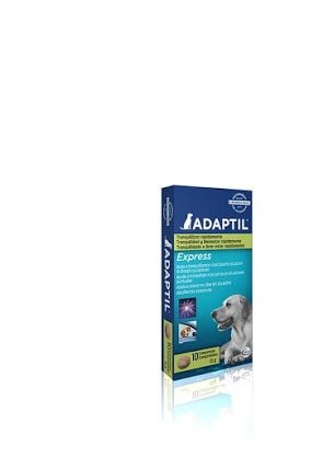 Adaptil express tablets hotsell