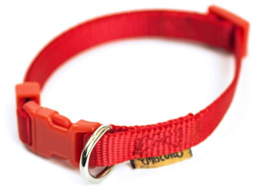 COLLARES