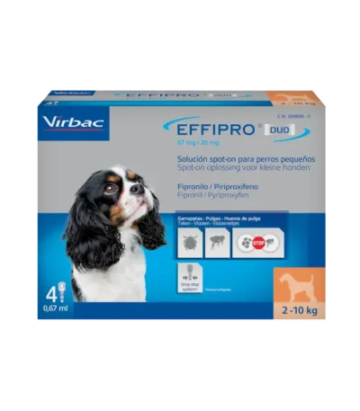 Effipro duo spot on perro pequeño 4pip