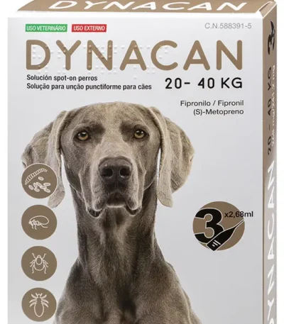 Dynacan perro 20-40kg 3pip