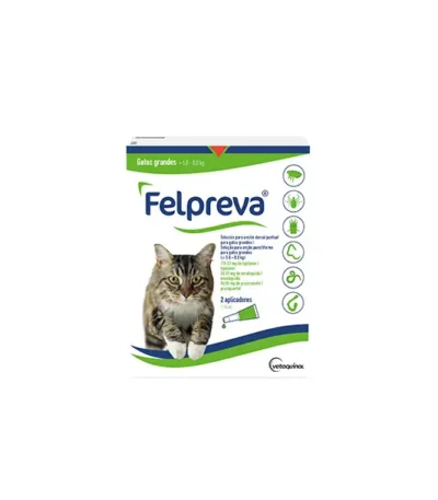 Felpreva gatos grandes 5-8kg 2 aplicadores