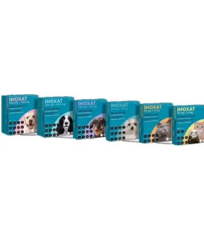 Imoxat 250+62,5mg (perro grande) 3 pip