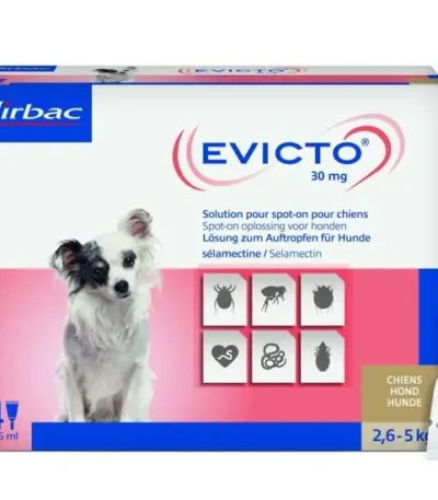 Evicto spot on perro 2,6-5kg 30mg 4pip