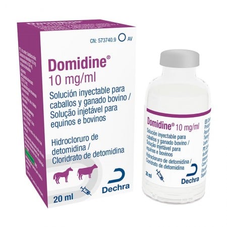Ziapam 5 mg/ml süstelahus 6 x 2 ml · koertele ja kassidele