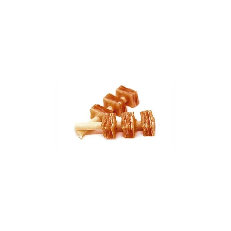 Filete de salmón desecado 500 g Biozoo · snack natural para perros y gatos
