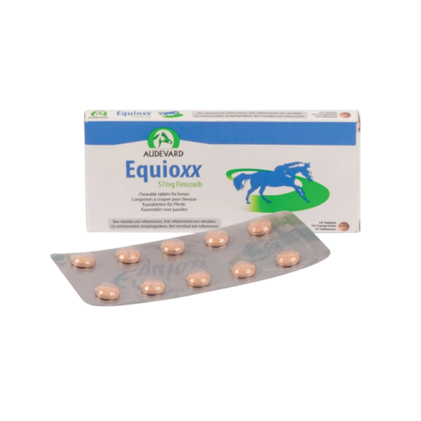 Bota EQBOOTS con plantilla blanda talla M, par · protección para extremidades de caballo